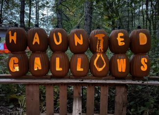 Gallery: Haunted Gallows opens to visitors
