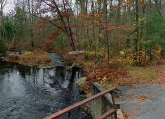Woman found dead Sunday morning by Burrillville fishing area