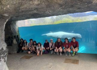 Guest post: ScoutsBSA Troop 438 embarks on an educational adventure at Mystic Aquarium