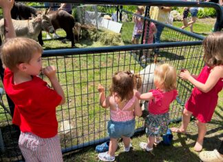Summer fun kicks off with fireworks, music & more: Five things to know in Glocester this week