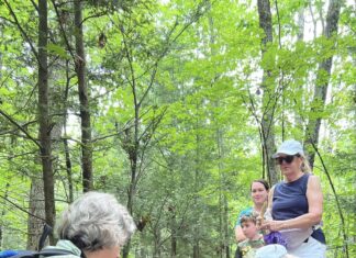 Breadbox, beach fun & Jesse Liam: Five things to know in Burrillville this week