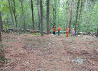 Blue-green algae, BBQ & post office reopens: Five things to know in Glocester this week
