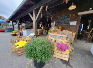 Goodwin Brothers plans expansion of Greenville Road Farm Stand