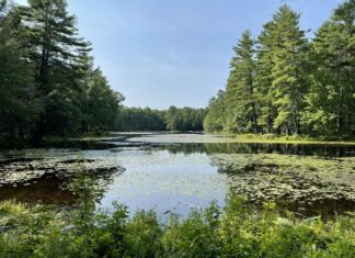 Three Burrillville ponds among several in state to be stocked in honor of veterans