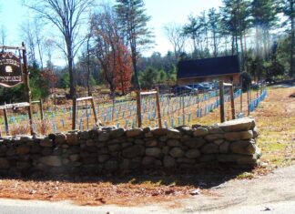 Glocester council denies request for entertainment license at Mulberry Vineyards, approves select events