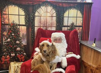 Candlelight launch, tree lighting with Jesse Liam & Santa parade: Six things to know in Glocester this week