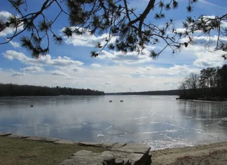 RIDEM fines Burrillville man $5,000 for illegal cesspool