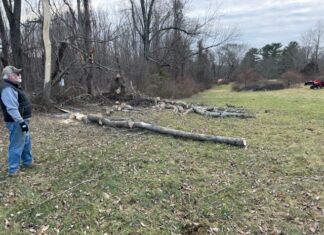 Disaster team, alumni volleyball: Five things to know in North Smithfield this week