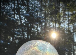 Full moon walk, movie screening & Spy Training Camp: Six things to know in Burrillville this week