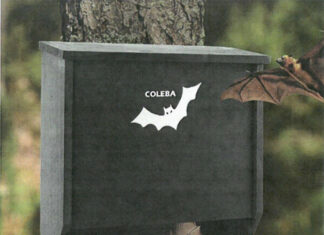 Chepachet scout hopes to install bat boxes, info panel at Burrillville bike path