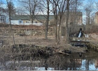 Seed starting, Cookie Walk & Chipotle fundraiser: Five things to know in North Smithfield this week