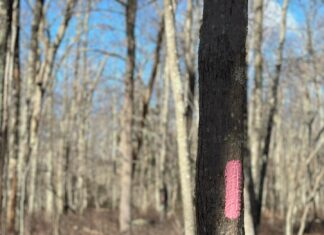 Blood drive, cheer competition & adult derby: Five things to know in Glocester this week