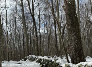 Parent’s Night Out & pantry stocking: Five things to know in Glocester this week