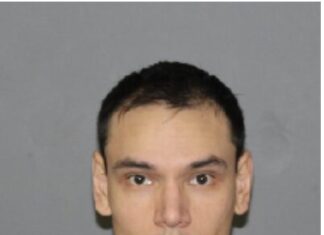 Former employee barricades himself in N.S. pizza shop, charged with felony assault