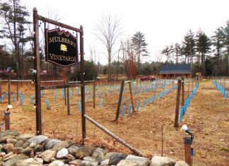 The weddings are off: Council says Mulberry Vineyards needs zoning approval for certain events