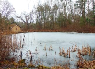 Developer calls for installation of hydrants in Chepachet Village