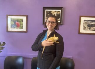 Slatersville vet adds exotic pets to the patient mix