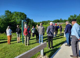 Mushroom hunting, water outage & revaluation visits: Six things to know in North Smithfield this week