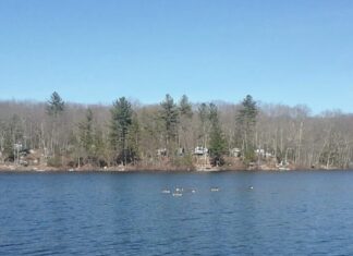 RIDOH, DEM lift advisory for Coomer Lake