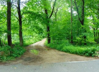Wild bird sanctuary set to open on Evans Road in Glocester