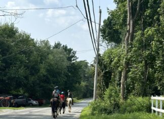 Glocester council to consider reining in horse travel following confrontations between riders & homeowners