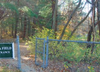 Improvements coming to Glocester Little League’s Leja Field
