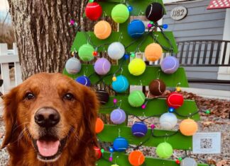 Christmas Parade, Grange initiative & a vaccine clinic: Eight things to know in Glocester this week