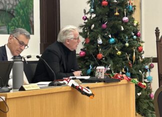 Grant writer Andoscia returns to N.S. under new administrator for second temporary stint