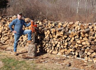 Cutting wood: A weekly excerpt from Life, Liberty and the Pursuit of Sanity