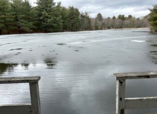 N.S. secures $50K grant to create plan for flooding around Mechanic Street property