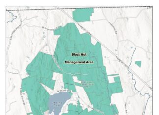 RIDEM finalizes purchase of Sweet’s Hill: 151 acres added to Black Hut Management Area