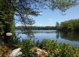 RIDEM fines Bowdish Lake Campground $82,500 for alleged environmental violations