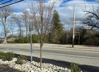 Tractor Supply Co. presents potential plan for former Christiansen’s Orchard property
