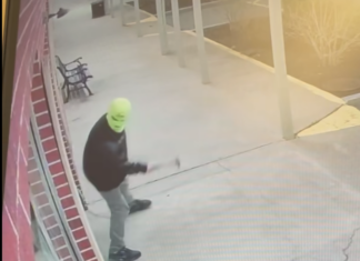 N.S. police seek public’s help in identifying vandal