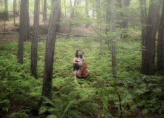 Collaboration between land trust & SENE to bring music to the woods of Glocester; Performers wanted