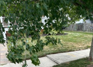 Town considers action to address safety of sidewalks on White Parkway & Summit Avenue