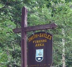 Harmful algae blooms found in three northern Rhode Island lakes