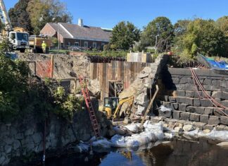 Artifacts found in Mill Pond slated for display, preservation
