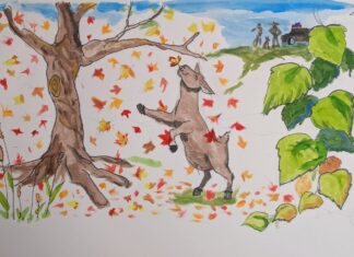 Open house, coat drive & the Scarecrow Festival: Six things to know in Glocester this week