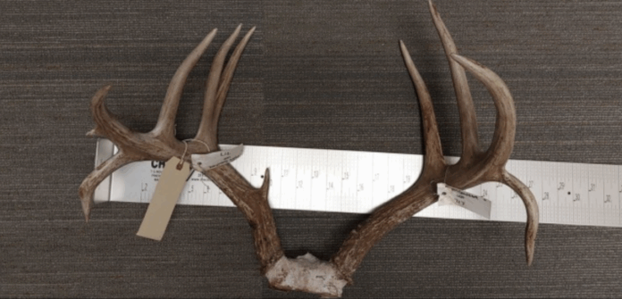Environmental police fine Burrillville man $1,000, suspend hunting license for poaching in Glocester