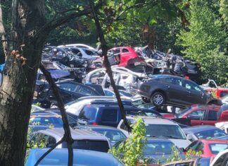 Council orders Iron Mine Hill Road junkyard owner to cease operations, remedy violations