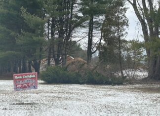Owner of Mechanic Street property faces violations from town, RIDEM for unauthorized activities