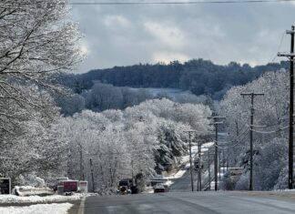 Wolves, Valentine’s Art & honor roll: Seven things to know in North Smithfield this week