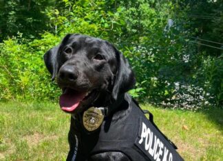 Opioid settlement funds of $87K to be used to purchase cruiser fitted for K-9 Tate, narcotics analyzer in Glocester