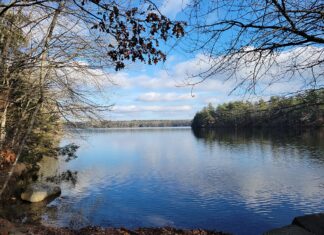 Dam concerns over the state border could permanently lower Old Killingly Pond