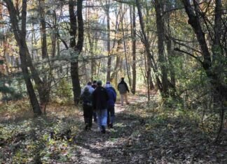Glocester Land Trust considers purchase of Putnam Pike property with help from RIDEM grant