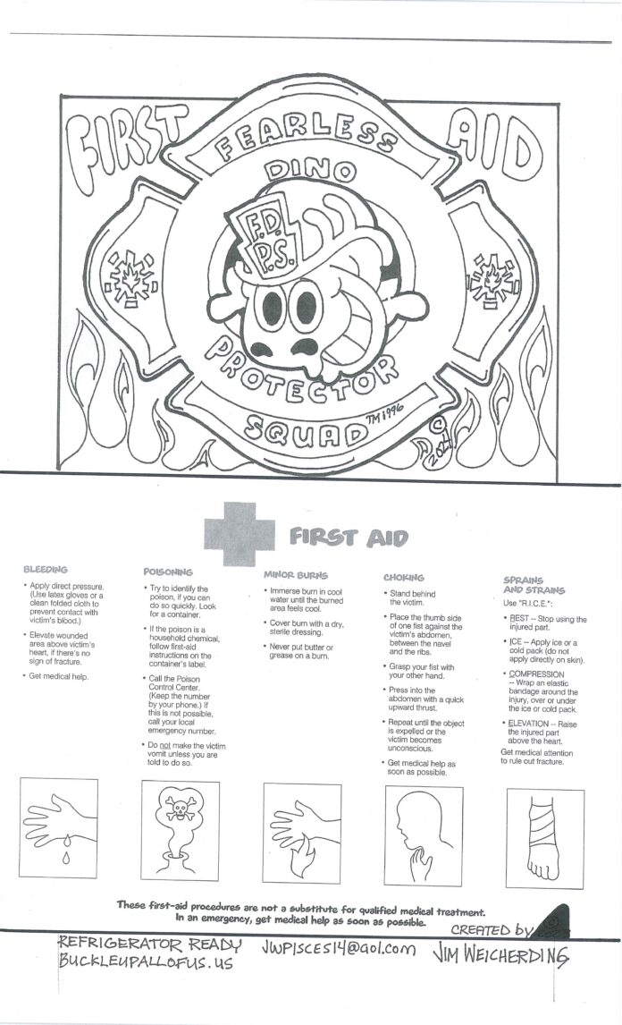 Sunday cartoon: First aid home safety