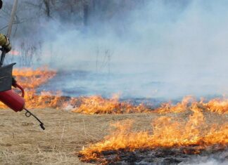 RIDEM plans prescribed burn at Glocester’s Durfee Hill